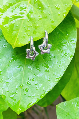 Silver star-shaped earrings on a wet green leaf