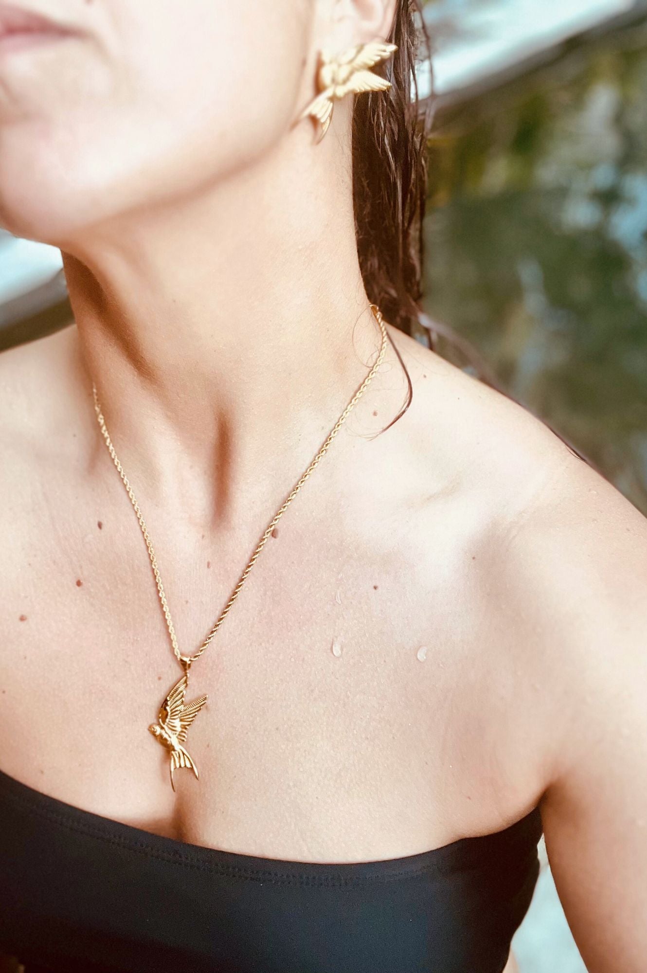 Sundance Swallow Necklace